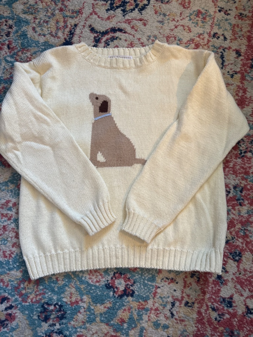 TBBC puppy sweater